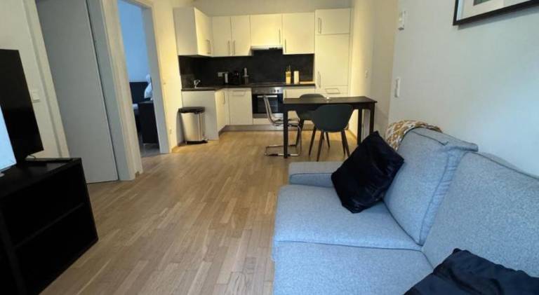 Holiday apartment | Next to Murinsel | Dogs allowed in Graz