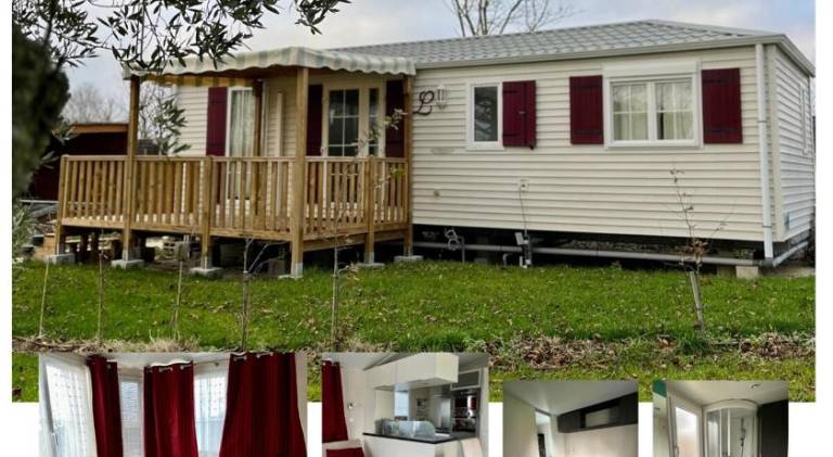 Chalet with pool | Pets allowed in Saintes