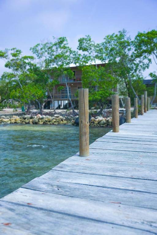 Villa Luz Coastal Sanctuary — photo 5