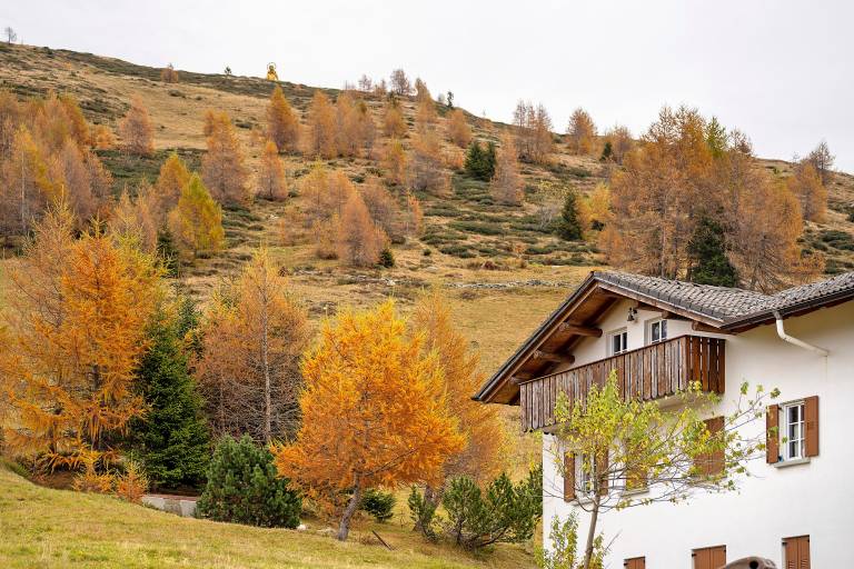 Lovely holiday apartment | Mountain view | Ski nearby | Pets allowed — photo 2