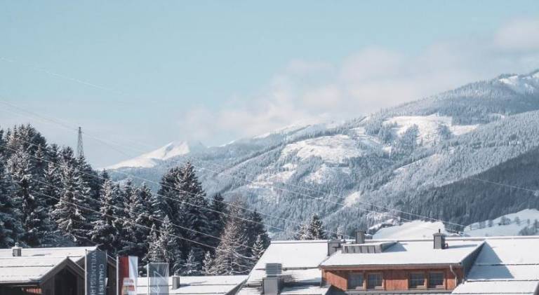 Charming chalet with sauna, pool & patio | Good for workation | Dogs allowed in Kaprun