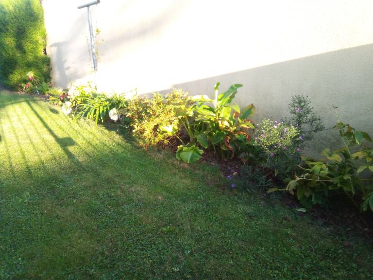 foto2