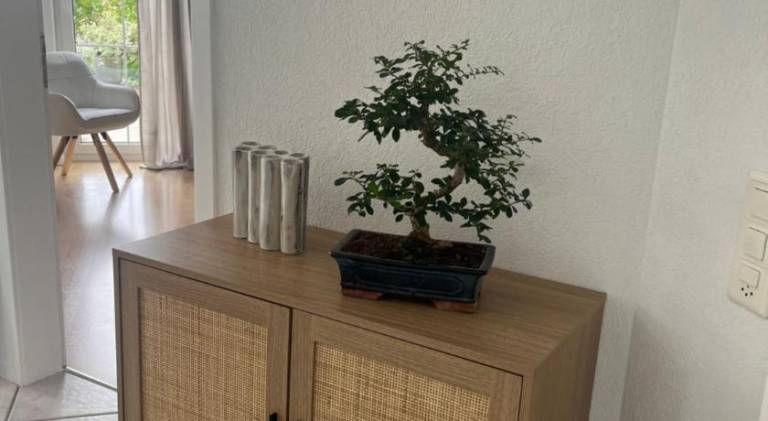 foto16