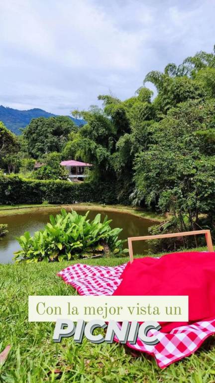 Children-friendly house with pool, barbecue & patio | Garden view | Pets are welcome — photo 2