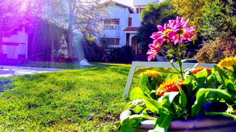 Tanino Guest House — photo 4