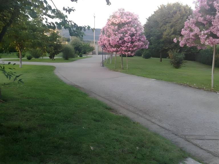 foto23