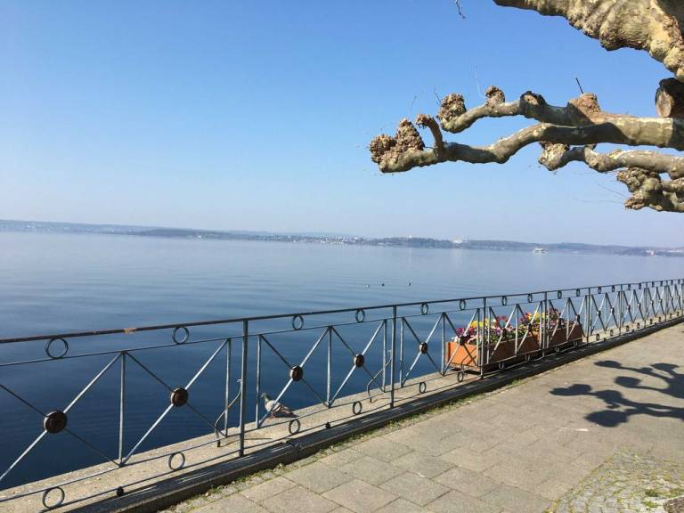 foto11