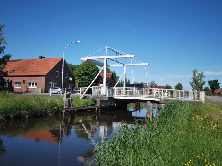 foto19