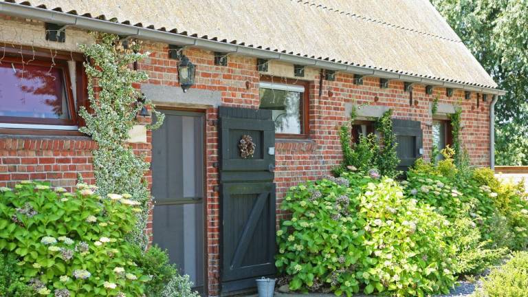 Ferienwohnung Sint Kruis