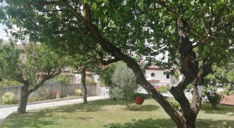 foto13