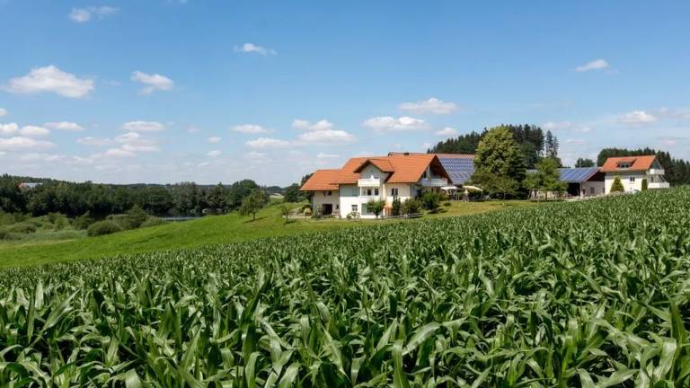 Ferienwohnung  Wangen im Allgäu