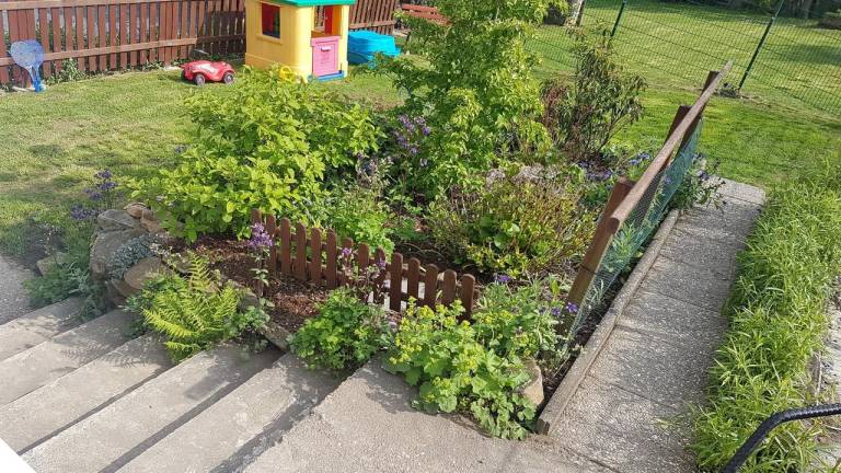 foto5