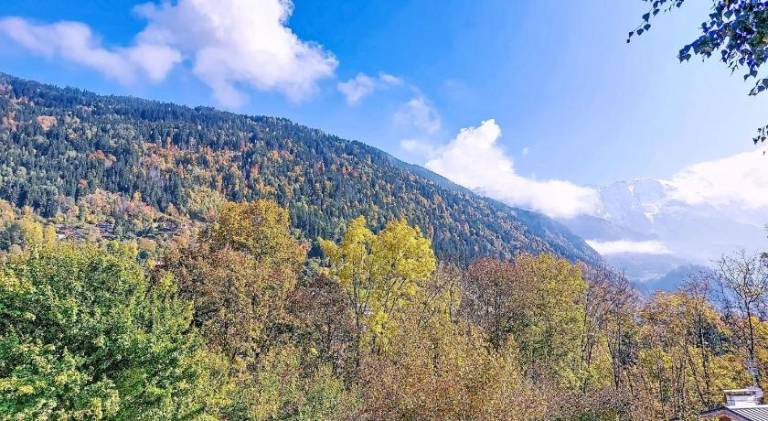 Wonderful apartment | Close to the ski | Pet-friendly in Combloux
