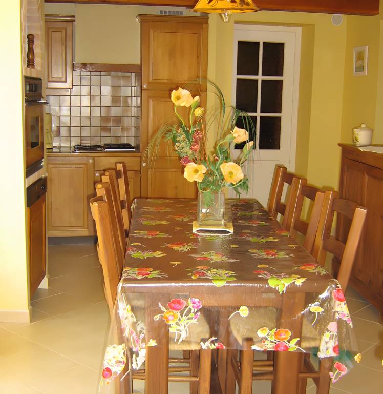 House with patio, garden & barbecue | Garden view — photo 2