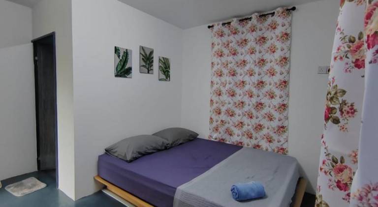 foto1