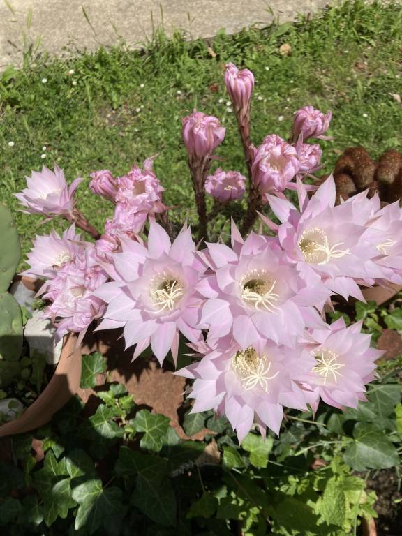 foto14