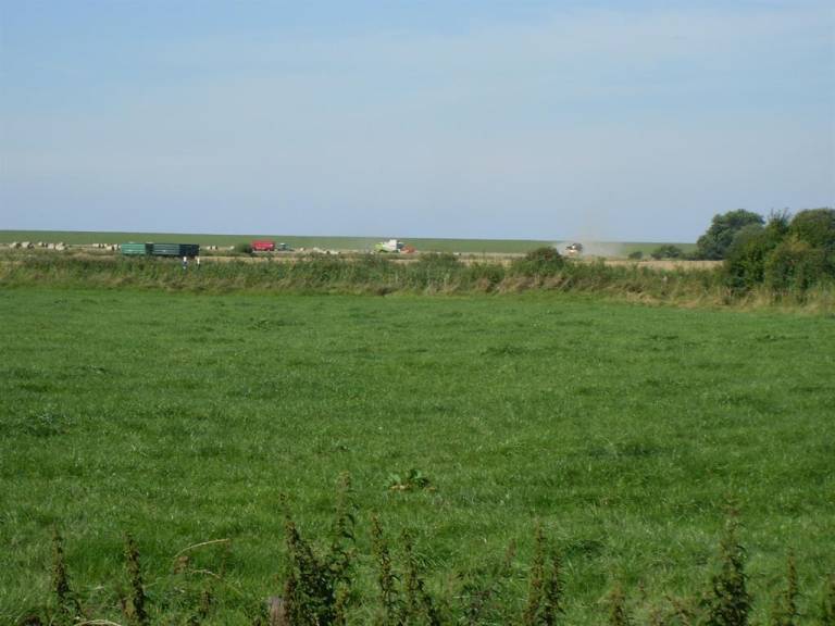 foto11