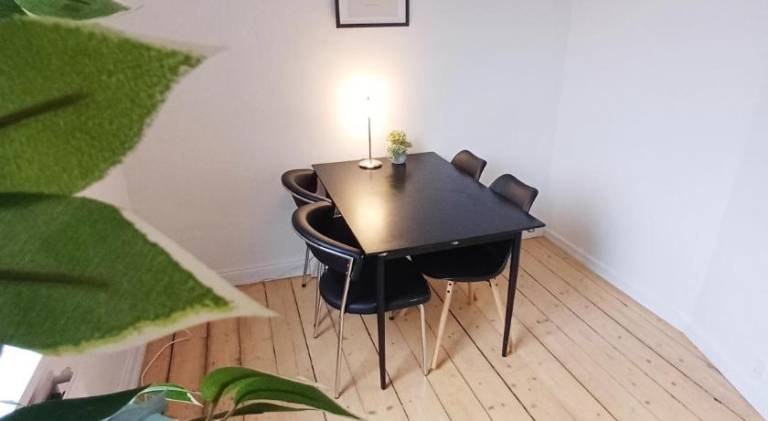 Beautiful rental apartment | Pets allowed in Aalborg
