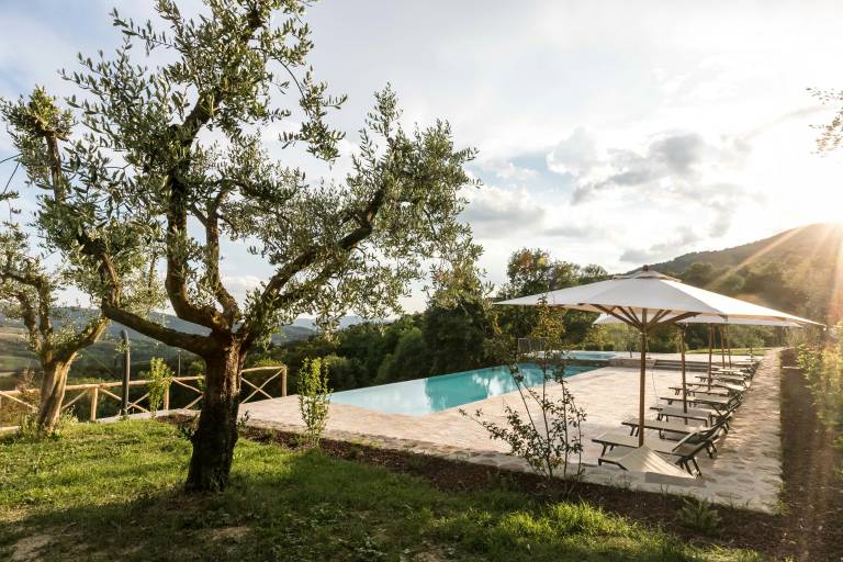 Villa with panoramic pool amongst olive groves — photo 2