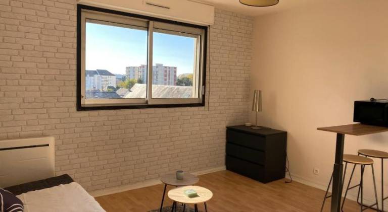 Holiday apartment with 1 room for 3 persons in Chinon