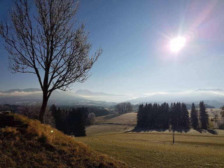 foto14