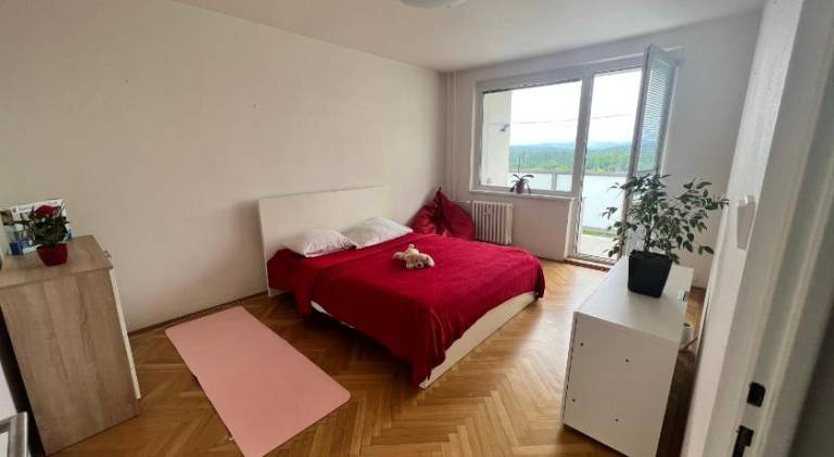 Nice holiday apartment | Pets are welcome — photo 2