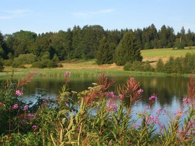 foto11