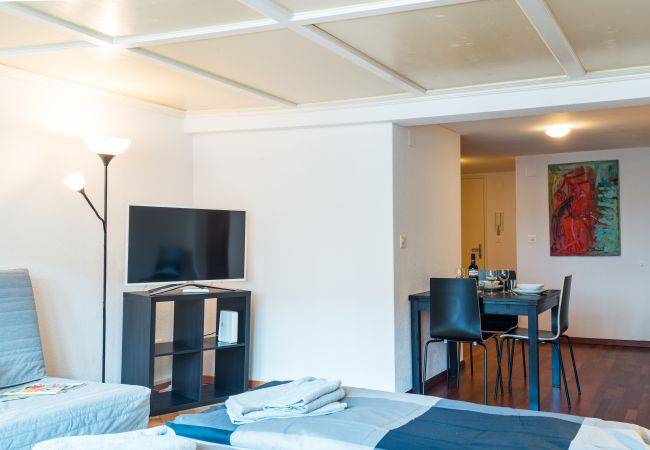 Ferienwohnung Küsnacht