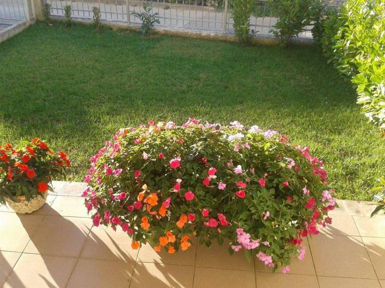 foto4