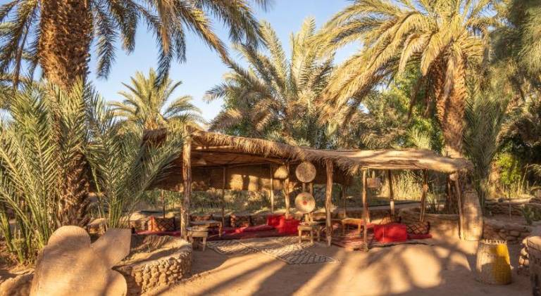 Oasis source de vie — photo 2
