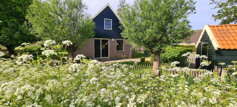 Ferienhaus  Oudesluis