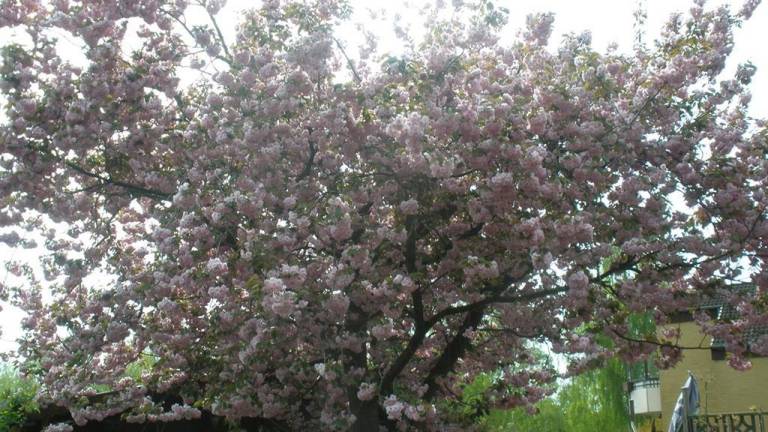 foto8