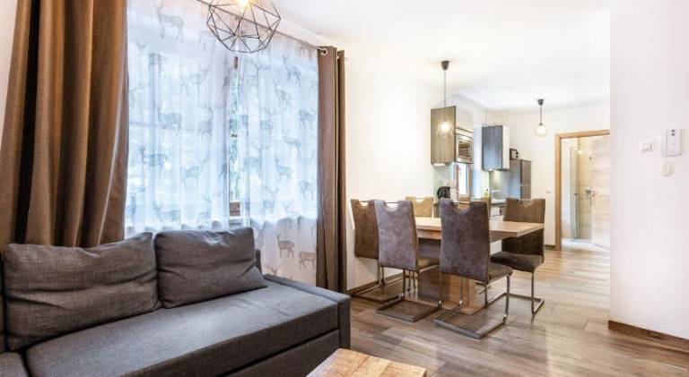Rental apartment with 2 rooms for 6 persons in Saalbach-Hinterglemm