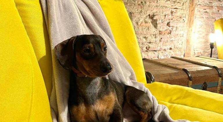 Beautiful holiday apartment | Pet-friendly in Logroño