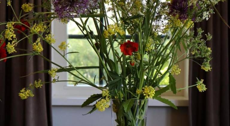 foto29