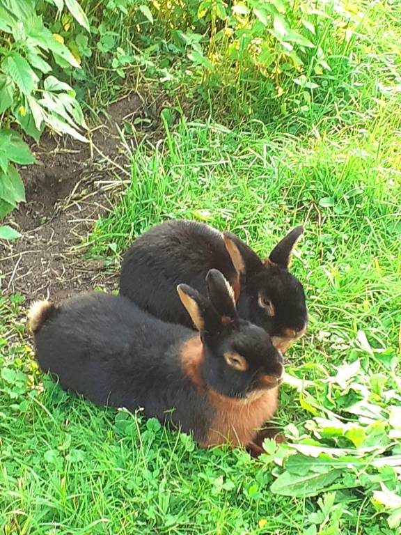 Ferienwohnung Oberjoch