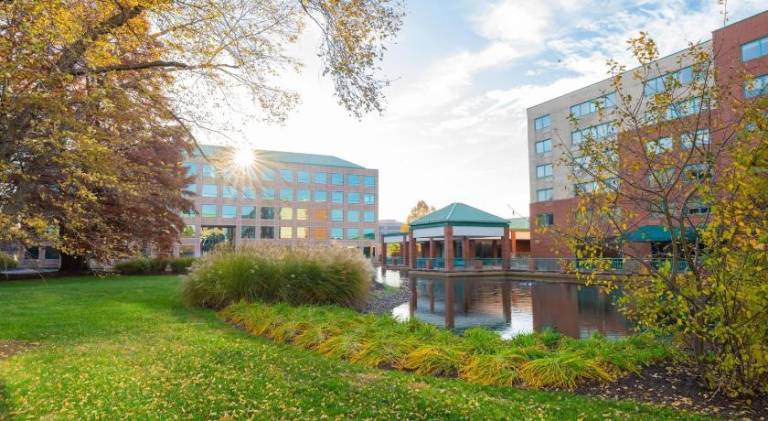 Elimwood Hotel, a Ramada by Wyndham — photo 4