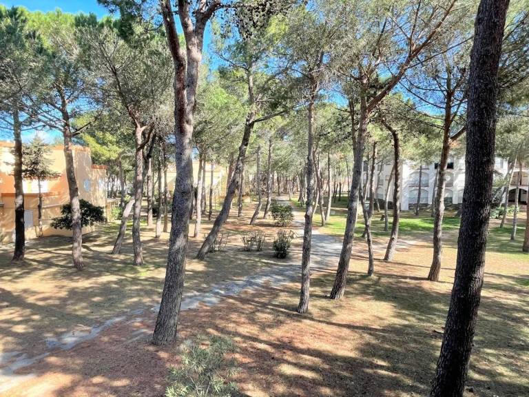 Studio cabin 200m from the beach, pets allowed, near shops — photo 2