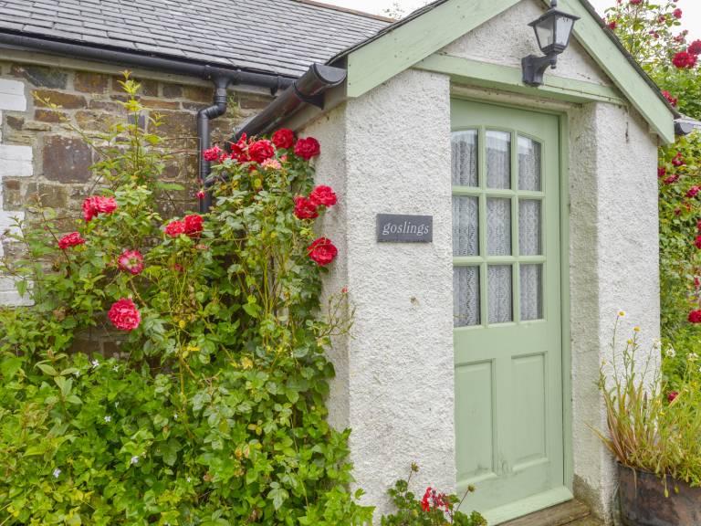 Family-friendly wonderful cottage with yard | Beach view | Pets allowed — photo 2