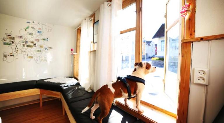 Tromso Activities Hostel — photo 2