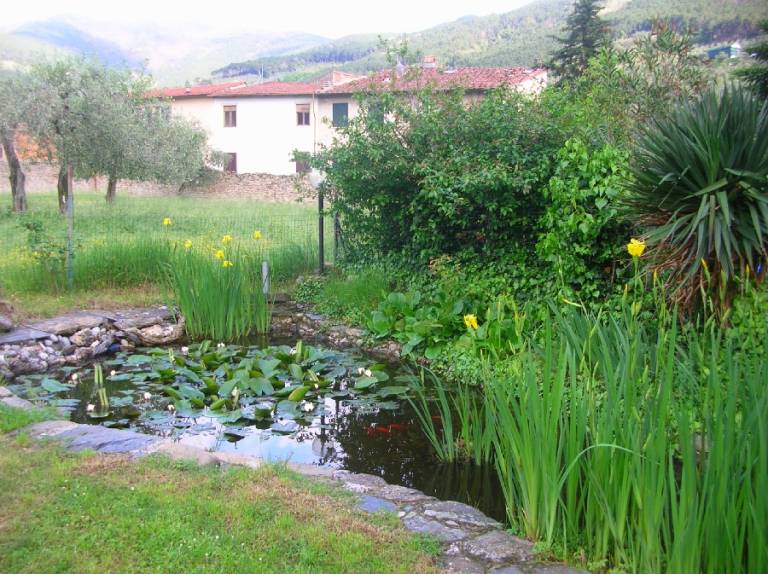 foto6