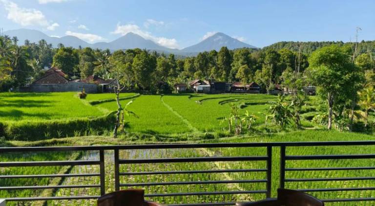 Yoga Homestay in Munduk