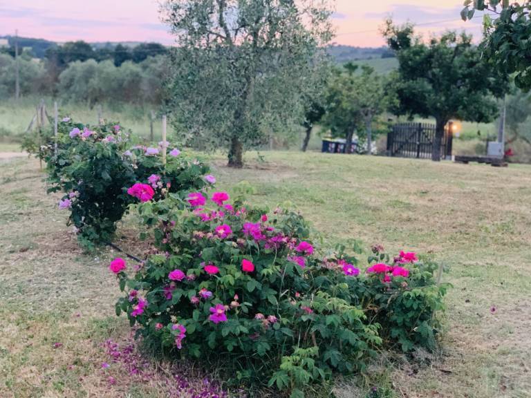 foto26
