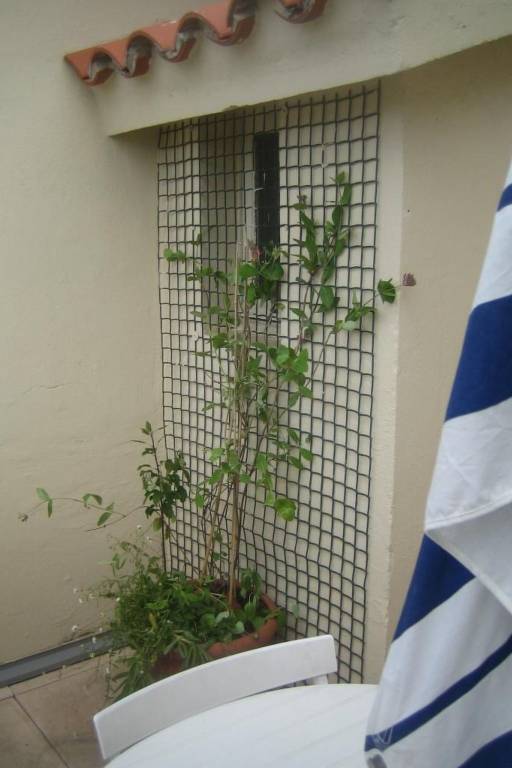 foto25