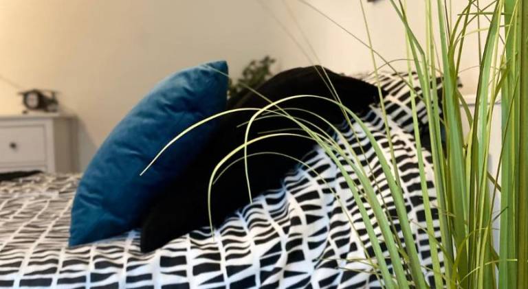 Charming rental apartment | Good for workation | Dogs allowed in Strasbourg