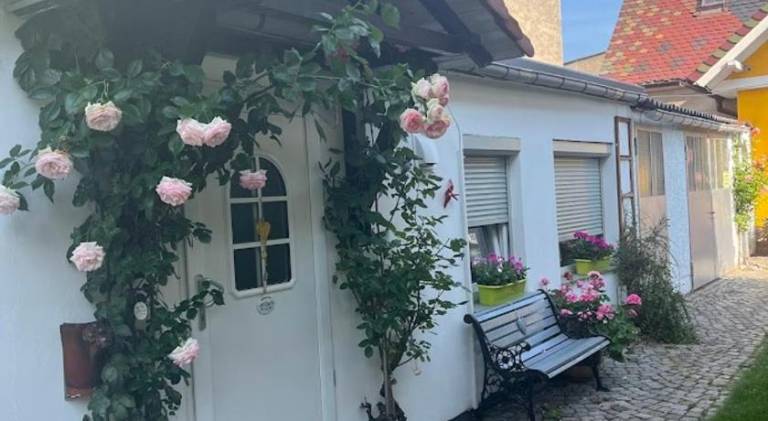 Holiday apartment with pool in Meissen