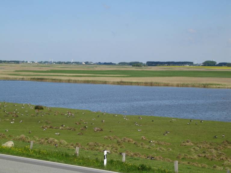 foto11
