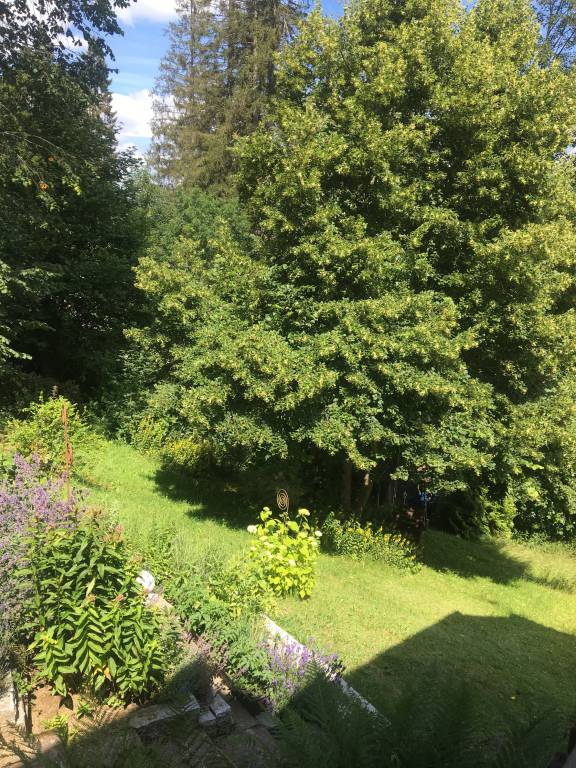 foto22