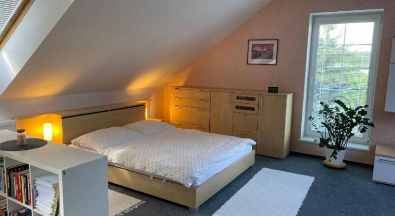 Apartmán  Kostolná Ves