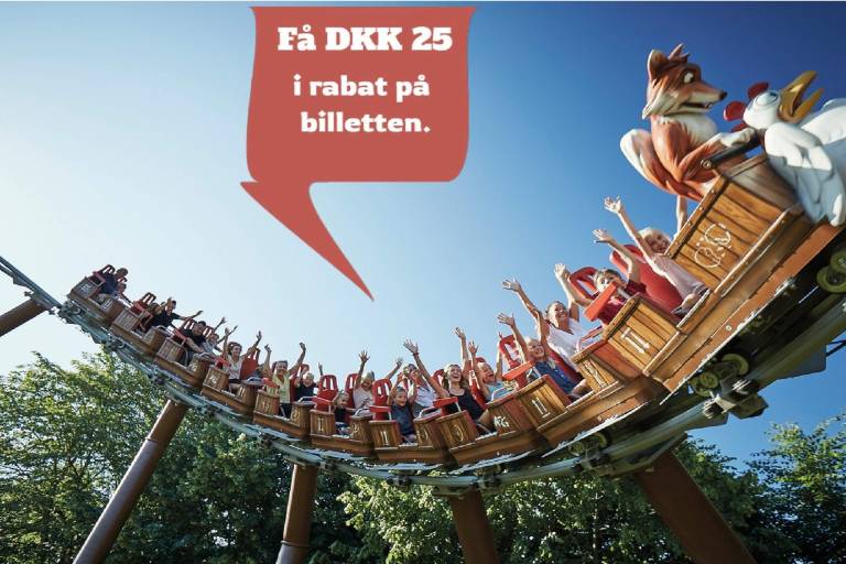 foto8